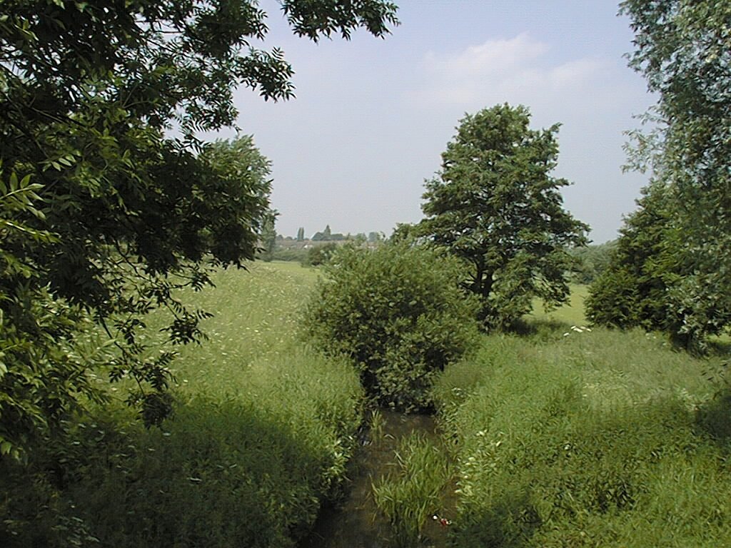 Looking north at four pounds ave